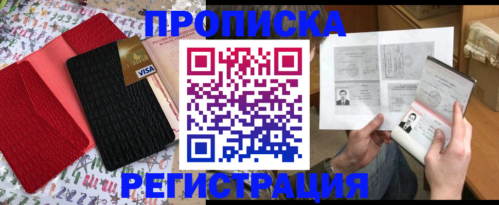 прописка поиск в Курчалом